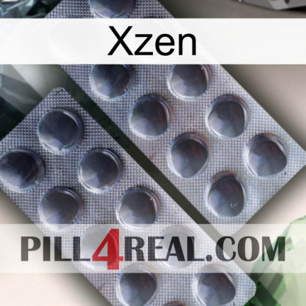 Xzen 31